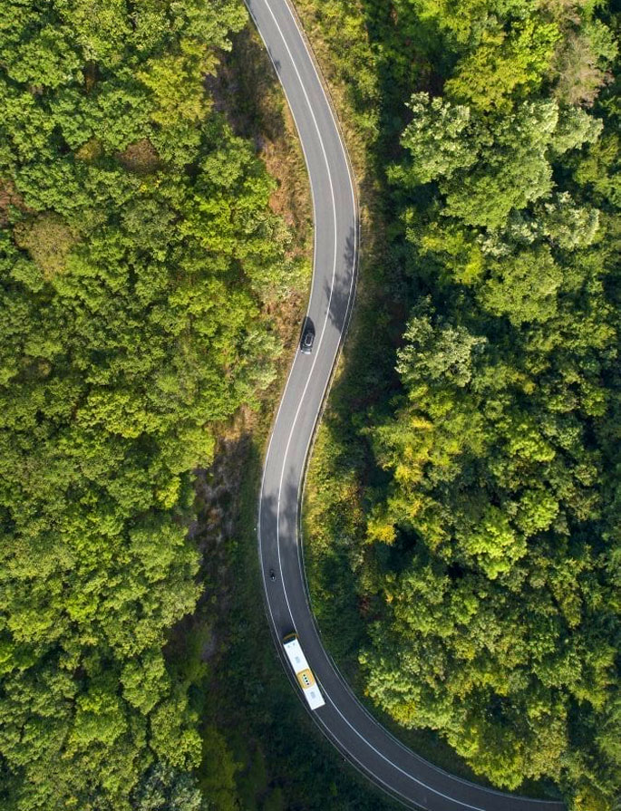 Baltour ama l’ambiente